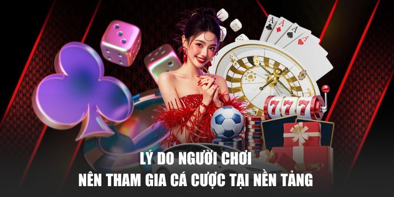 Lý do người chơi nên tham gia cá cược tại nhà cái